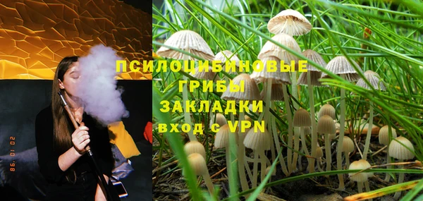 гашик Арсеньев