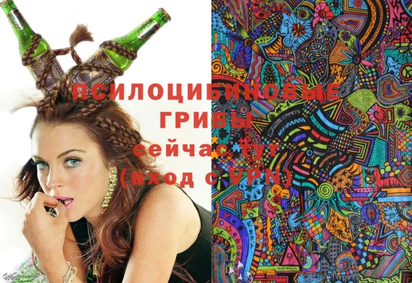 круглые Аркадак