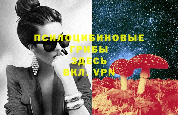 метадон Армянск