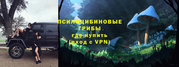 гашик Арсеньев